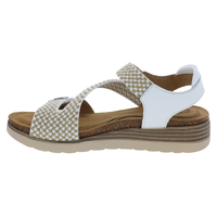 Thumbnail for BIZA BLOSSOM